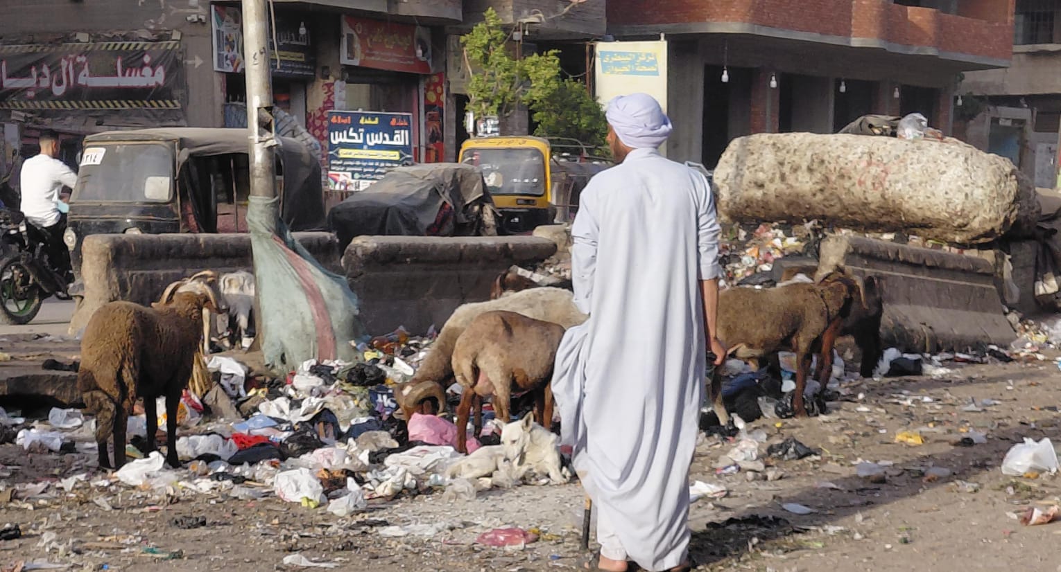 WhatsApp Image 2026-04-30 at 11.56.43 AM